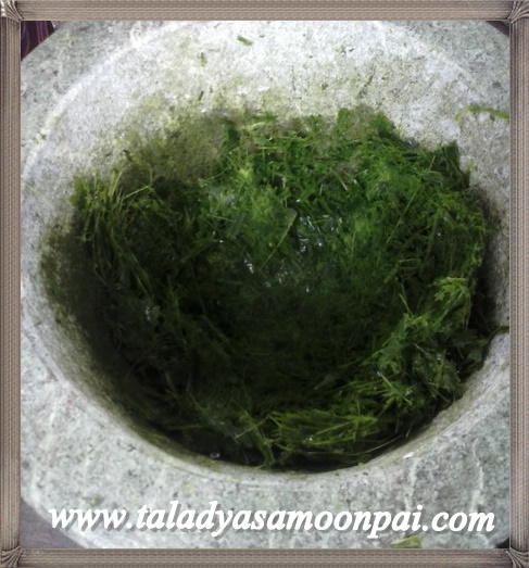 ขนมเปียกปูนใบเตย สูตรการทำขนมเปียกปูน ขนมเปียกปูนสีเขียว ขนมเปียกปูนใบเตย วิธีทำ ขั้นตอนการทำ ตลาดยาสมุนไพร จำหน่าย สมุนไพร แห้ง ผง บด ผลิตภัณฑ์จากสมุนไพร ราคาส่ง-ปลีก วิธีทำขนมเปียกปูนใบเตย นำแป้งข้าวเจ้า, แป้งท้าวยายม่อม, แป้งถั่วเขียว มาผสมรวมกับหัวกะทิ น้ำใบเตย คนเข้ากันดีใส่ใส่น้ำปูนใสลงไป กรองด้วยผ้าขาวบาง จากนั้นนำไปใส่ในกระทะทองเหลือง กวนจนแป้งเหนียวข้น จากนั้นเทใส่ถาดหรือภาชนะที่เตรียมไว้ ปาดหน้าขนมให้เรียบเสมอกัน รอให้เย็นตักเป็นชิ้นตามต้องการก่อนเสริฟโรยหน้าขนมด้วยมะพร้าวขูดฝอย คลิ๊กทางนี้ได้จร้าาาาาาาาาาาาาาาาาาาาาาาาาาาาาาาาาาาาาาาาาาาาาาาาาาาาาาาาา